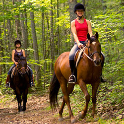 Horseback Riding